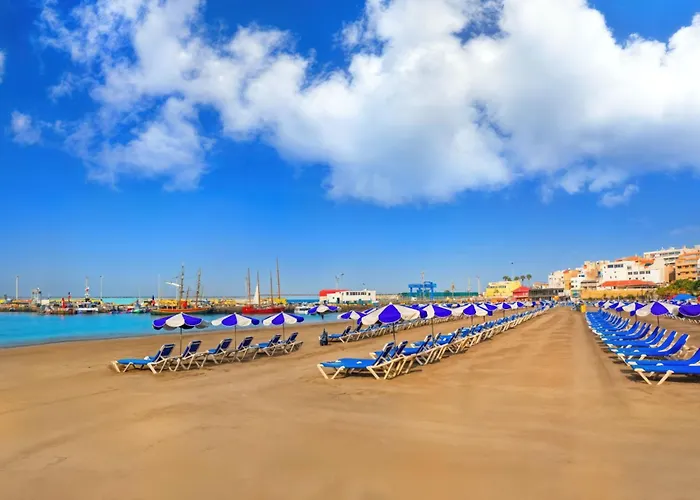 Designer Oasis By Interhome